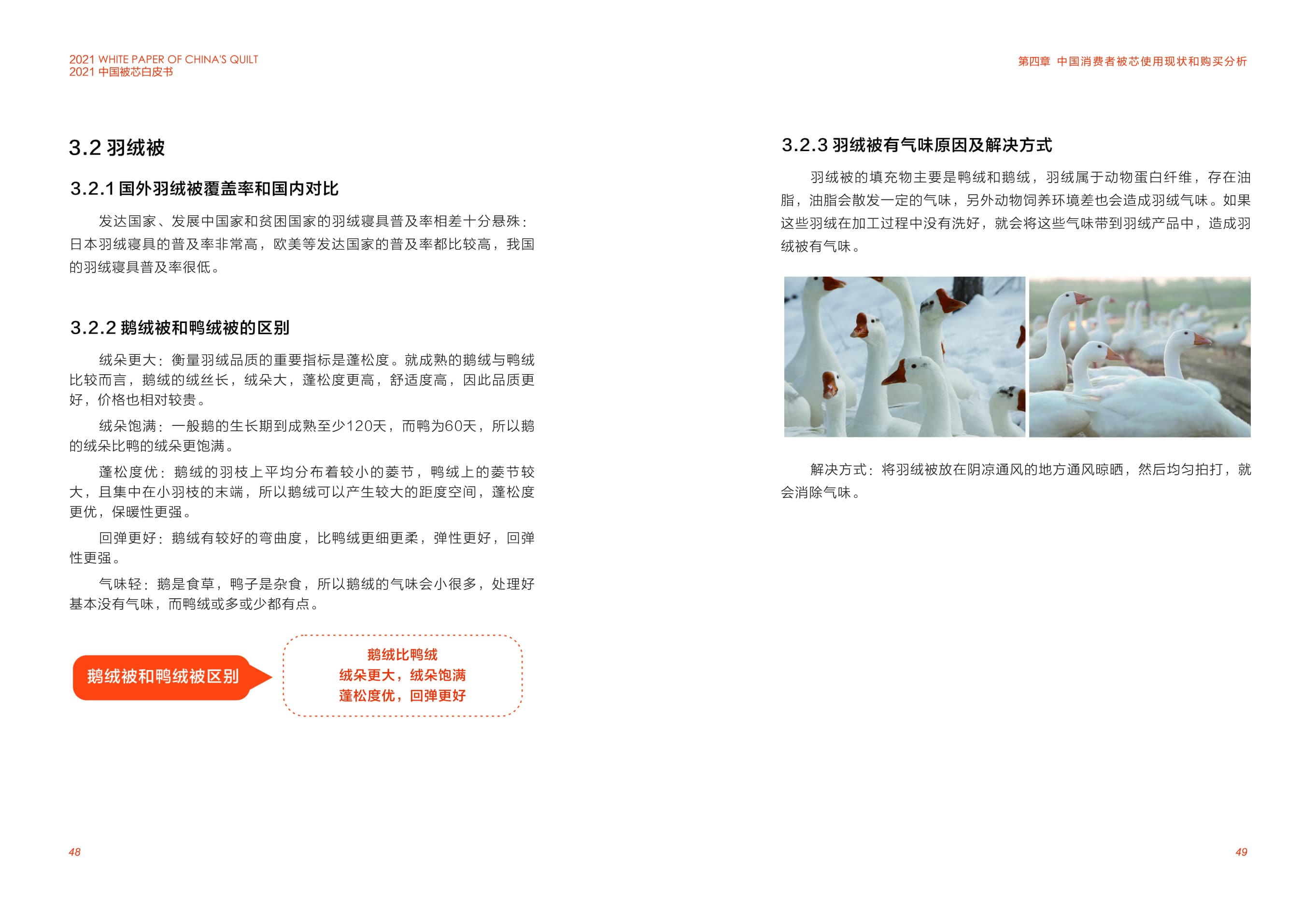 MS - ��ʨ����ᡤ�ٷ�(�й�)