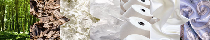 MS - ��ʨ����ᡤ�ٷ�(�й�)