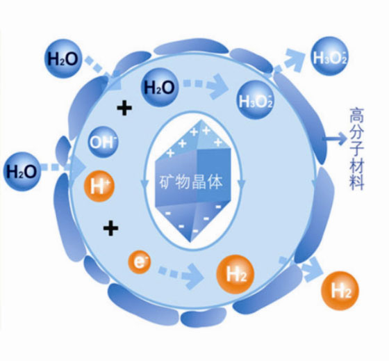 MS - ��ʨ����ᡤ�ٷ�(�й�)