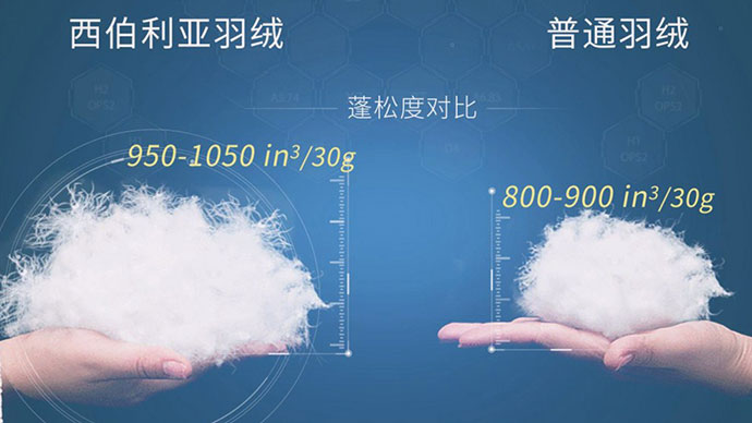 MS - ��ʨ����ᡤ�ٷ�(�й�)