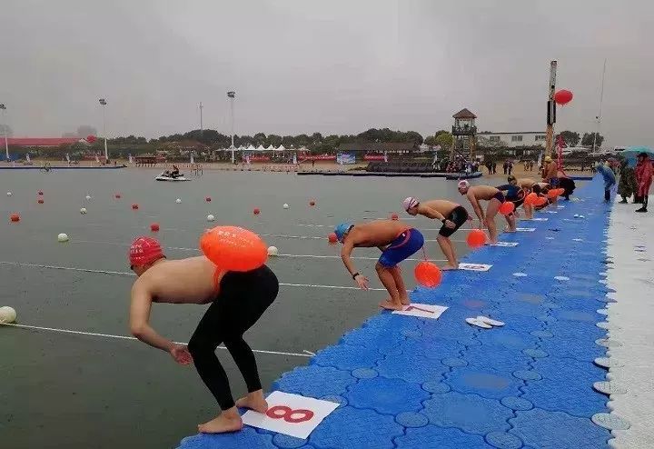 MS - ��ʨ����ᡤ�ٷ�(�й�)