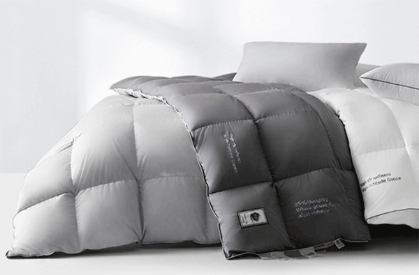 ���ޱ��ĸ����Ӻ�