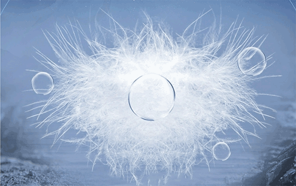 ���ޱ����а�ǰʮ��