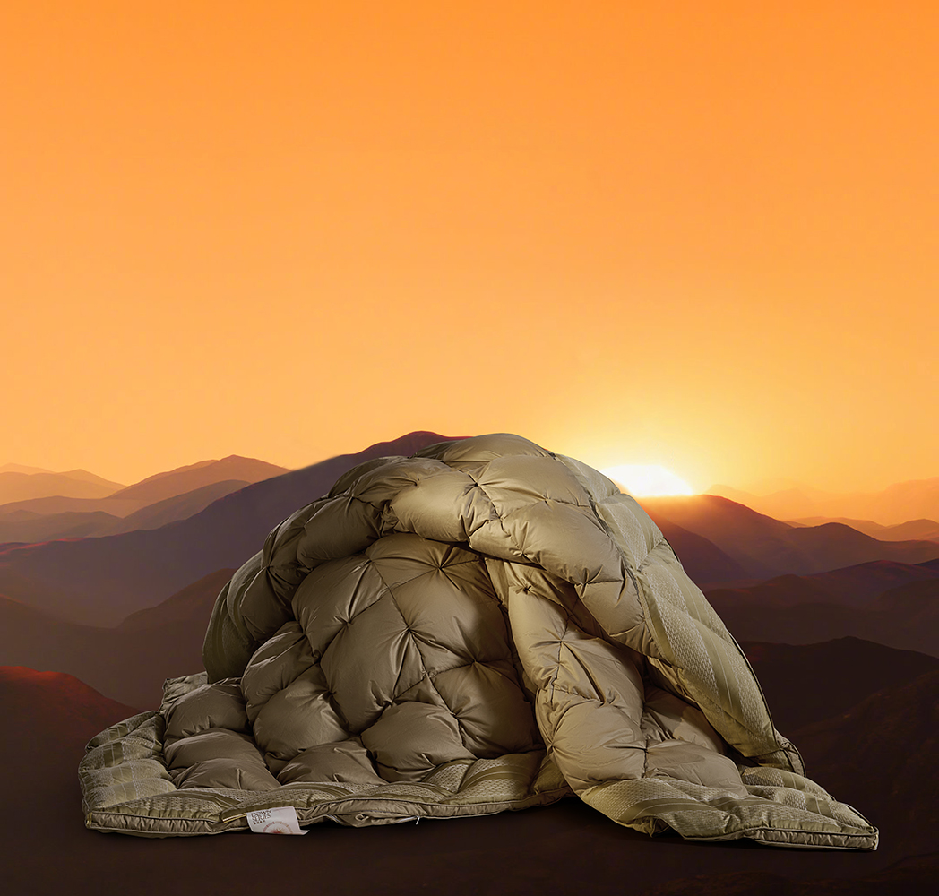 MS - ��ʨ����ᡤ�ٷ�(�й�)