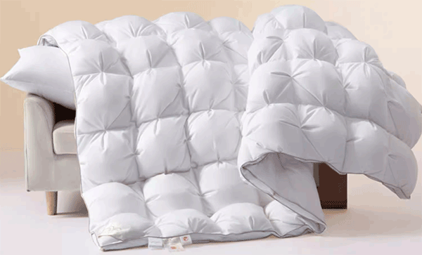 ����ʲô���ϵı�о�ñ���������������ʲô���ϵı�о�ü����λ������