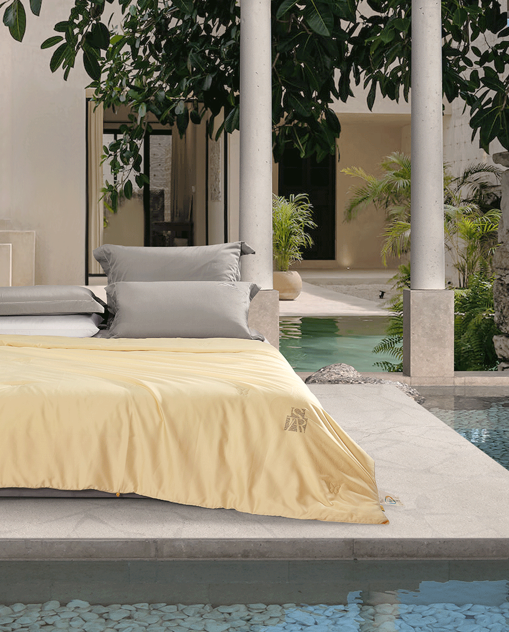 MS - ��ʨ����ᡤ�ٷ�(�й�)